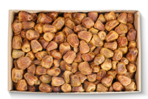 Holy Dates 3 kg + Free Juice Container