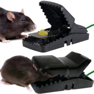 Mouse Trap – ইঁদুর মারার ফাঁদ (২ পিস)